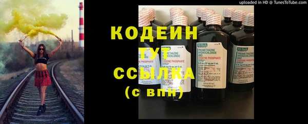 индика Нея