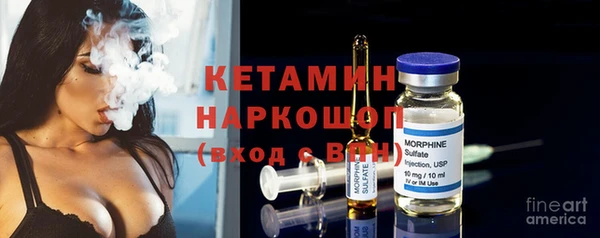 индика Нея