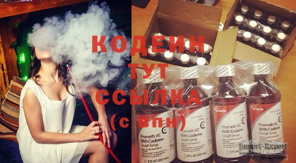 индика Нея