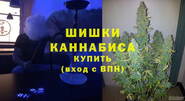 индика Нея