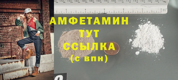 индика Нея