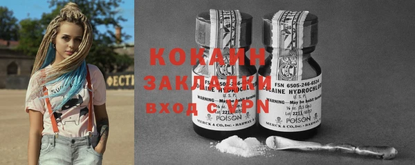 индика Нея