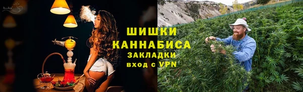 индика Нея