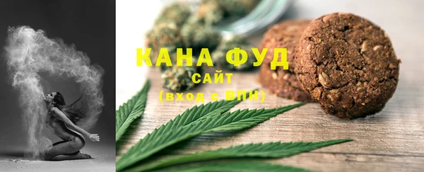 индика Нея