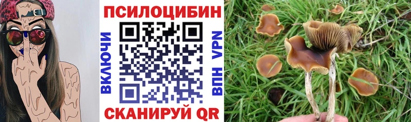 продажа наркотиков Красавино Псилоцибиновые грибы прущие грибы